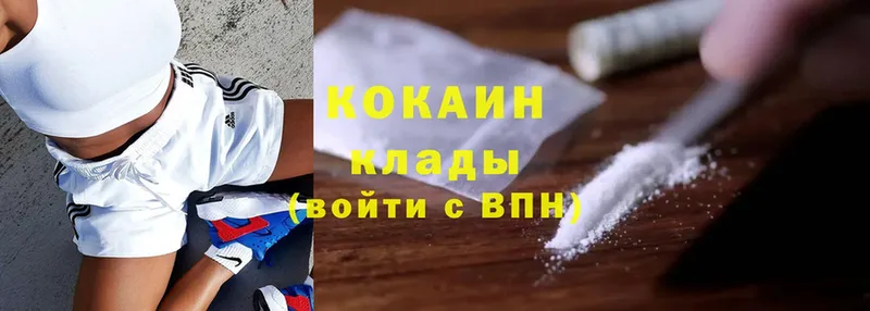 Cocaine FishScale  ссылка на мегу ТОР  Лукоянов 